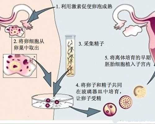 福州好的澳洲移民中介（澳洲政府将三千多留学生遣返，上万人签证要被取消，