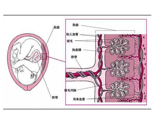 移民加拿大还是澳大利亚（加拿大1014亿加元最新预算：“砸钱”利好这几类移