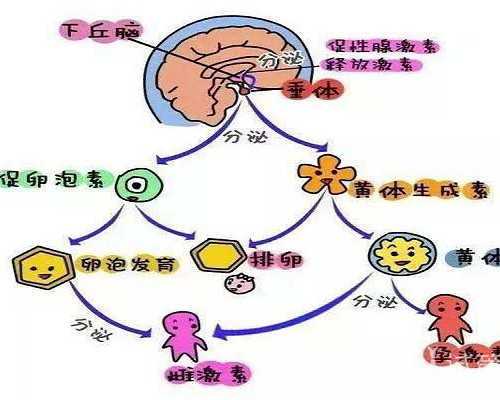 美国广州移民签证(2019年美国要砍掉42万合法移民,这是什么神仙操作?)