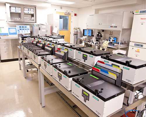 澳洲技术移民2017eoi【详解：澳洲132商业投资移民签证各州担保要求！】