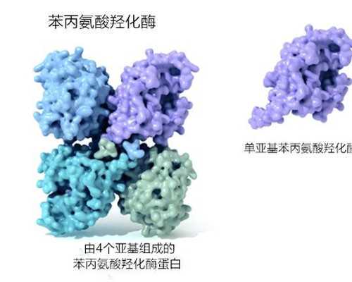 2015年澳洲移民政策{环球澳洲中小学入读客户访谈第二弹}