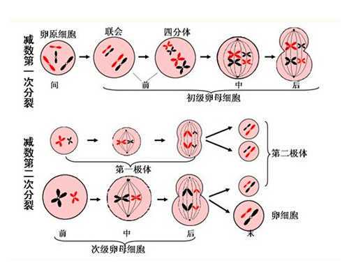 澳大利亚移民5（澳大利亚移民好处多多，移民方法了解一下？）
