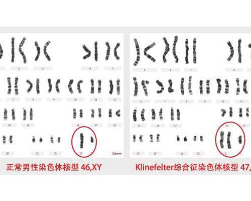 如何申请澳洲移民（办理瓦努阿图护照移民,申请澳洲签证更便利！）