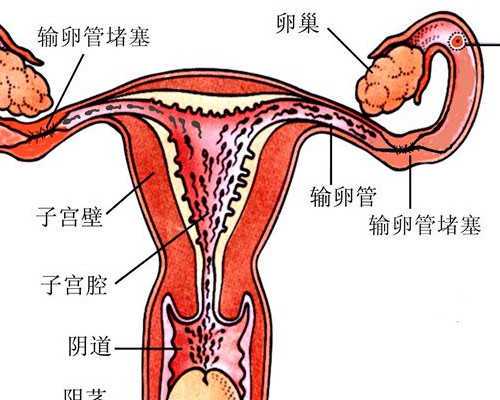 移民澳洲188E（详解：澳洲132商业投资移民签证各州担保要求！）
